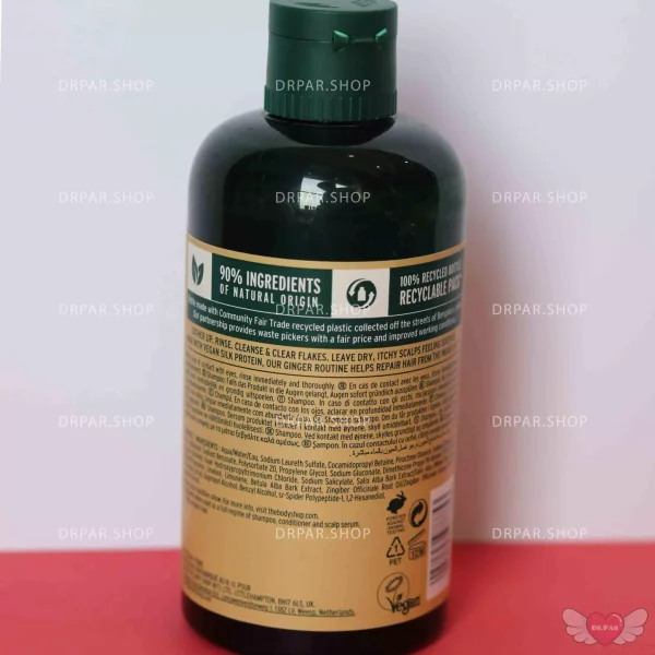 شامپو ضد شوره زنجبیل بادی شاپ The Body Shop Ginger Anti Dandruff Shampoo - Image 4
