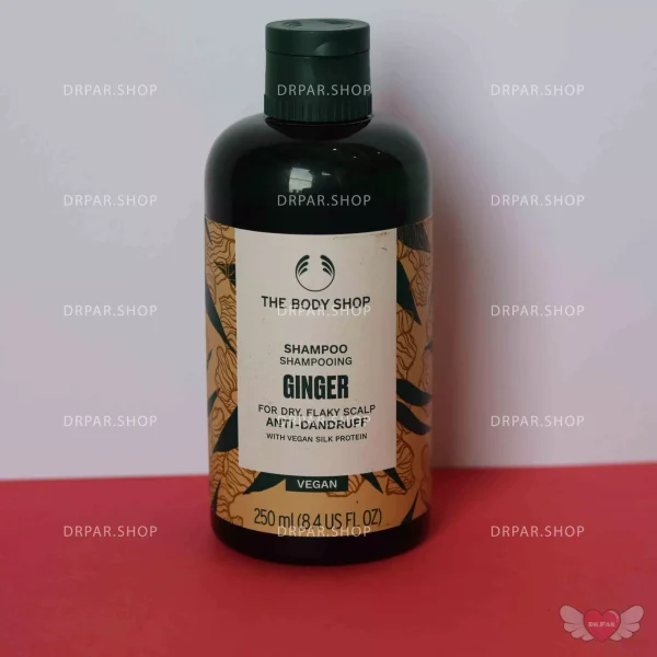 شامپو ضد شوره زنجبیل بادی شاپ The Body Shop Ginger Anti Dandruff Shampoo - Image 5