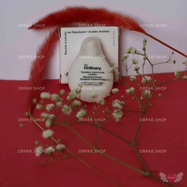 بالم لب اوردینری The Ordinary Lip Balm - Image 3