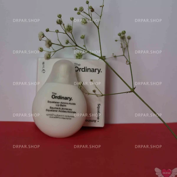 بالم لب اوردینری The Ordinary Lip Balm - Image 5