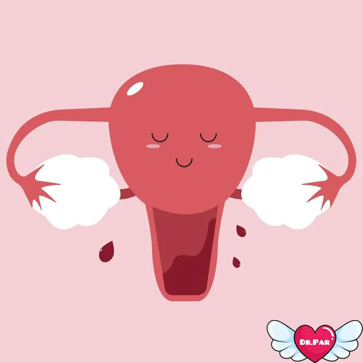 همه چیز درباره قاعدگی: از چرخه طبیعی بدن تا نکات مهم سلامت زنان